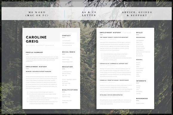 Professional Resume in Resume Templates - product preview 1