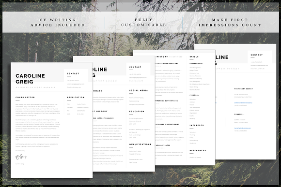 Professional Resume in Resume Templates - product preview 5