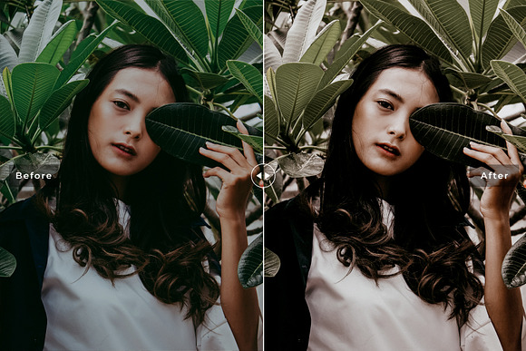 Cassia Vera Lightroom Presets Pack in Add-Ons - product preview 1