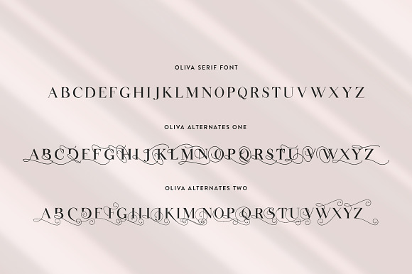 Oliva Serif Font in Serif Fonts - product preview 4