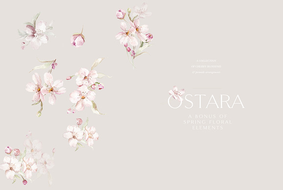 Ostara - Spring Rituals & Mockups in Illustrations - product preview 36