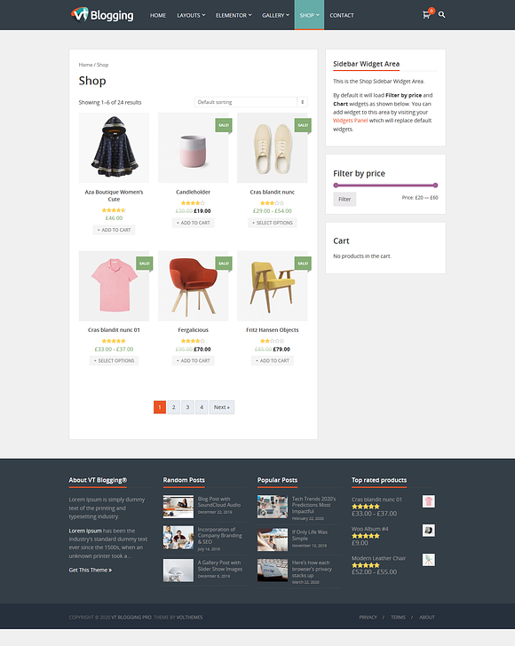 VT Blogging Pro WordPress Theme in WordPress Blog Themes - product preview 5