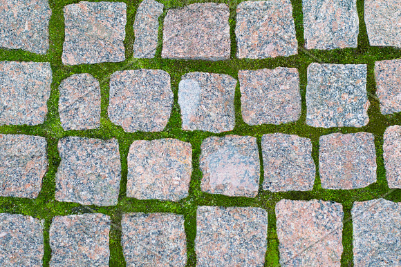 Seamless texture paving stone in Textures - product preview 1