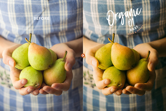 Organic Food Presets for LR & PS in Add-Ons - product preview 3