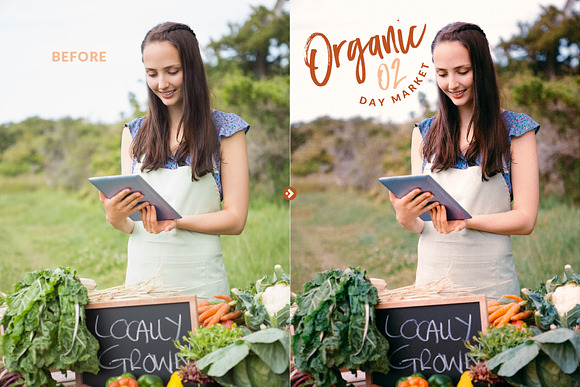 Organic Food Presets for LR & PS in Add-Ons - product preview 4