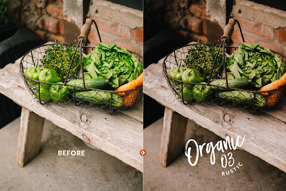 Organic Food Presets for LR & PS in Add-Ons - product preview 6
