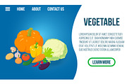 Vegetable concept banner