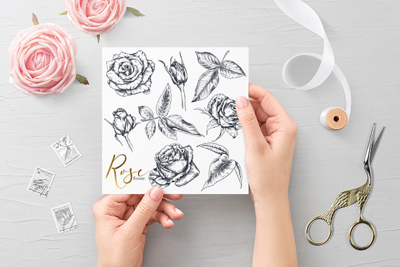 Vector Rose flowers in Illustrations - product preview 1