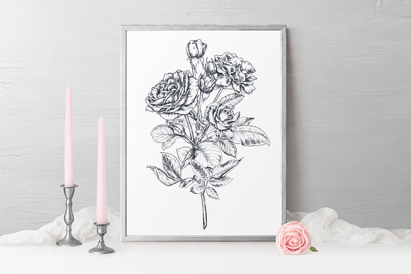Vector Rose flowers in Illustrations - product preview 2