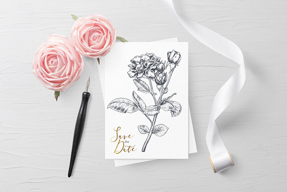 Vector Rose flowers in Illustrations - product preview 4