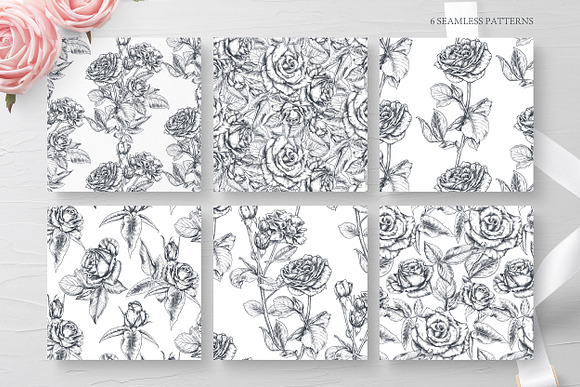 Vector Rose flowers in Illustrations - product preview 8