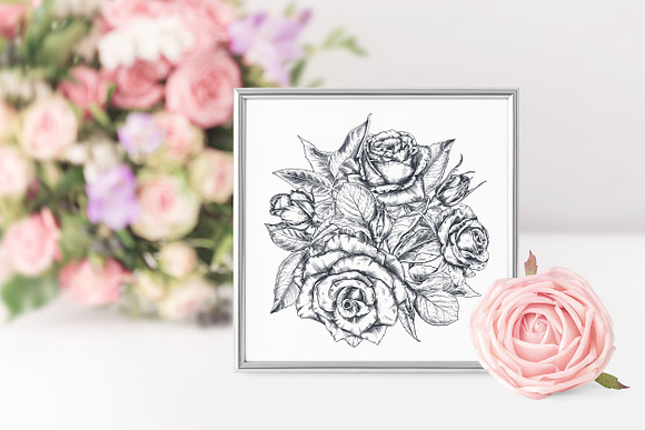 Vector Rose flowers in Illustrations - product preview 11