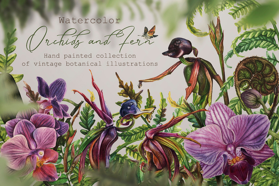 Watercolor Vintage Botany
