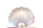 Open pearl shell image