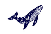 Whale universe illustration