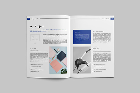 Company profile Template in Brochure Templates - product preview 7