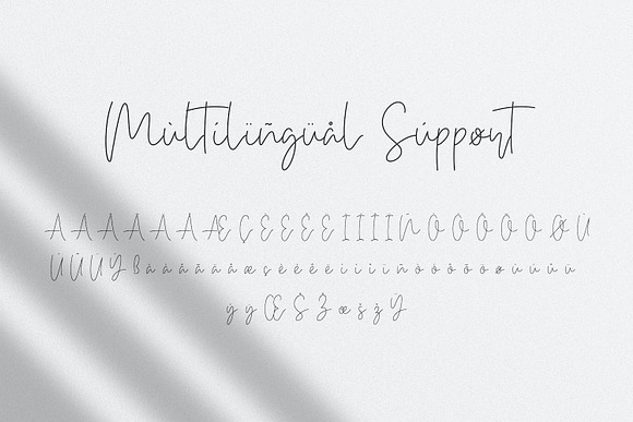 Bethan White - Monoline Script Font in Script Fonts - product preview 13