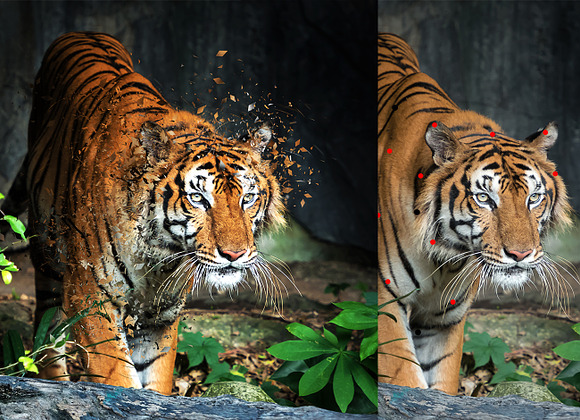 Blast Dispersion Photoshop Action in Add-Ons - product preview 12