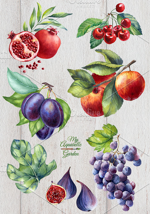 Watercolor fruits set in Illustrations - product preview 2