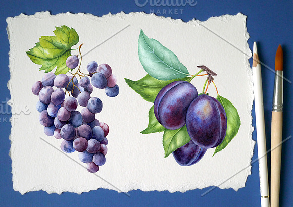 Watercolor fruits set in Illustrations - product preview 3
