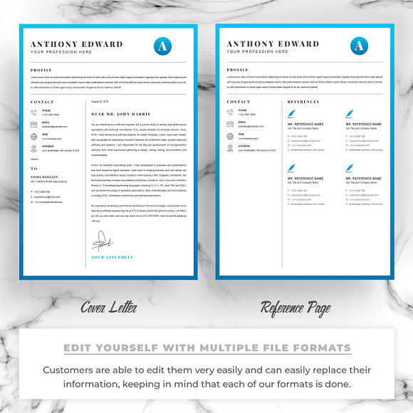 4 Pages Modern Resume / CV Template in Letter Templates - product preview 2