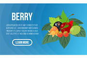 Berry concept banner