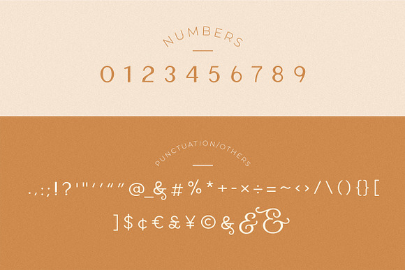 Carla Sans -Elegant Typeface in Sans-Serif Fonts - product preview 4