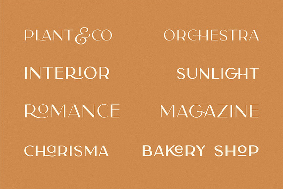 Carla Sans -Elegant Typeface in Sans-Serif Fonts - product preview 6