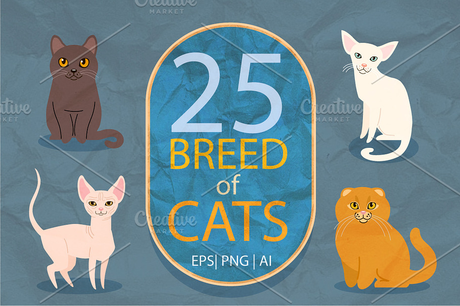 25 breeds of cats, vector