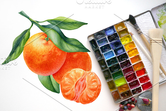 Watercolor citrus collection in Illustrations - product preview 3