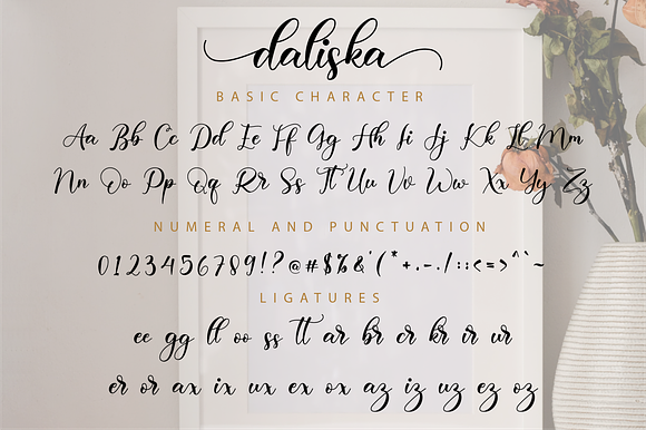 Daliska Script in Script Fonts - product preview 9