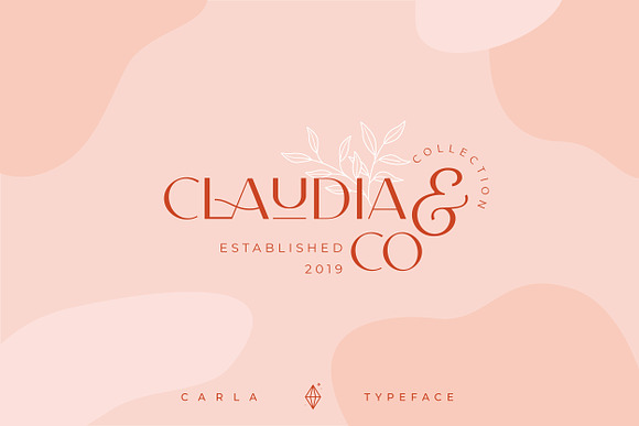 Carla Sans -Elegant Typeface in Sans-Serif Fonts - product preview 16