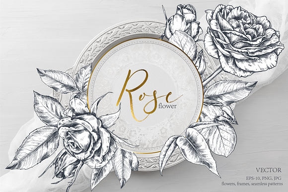 Vector Rose flowers in Illustrations - product preview 12