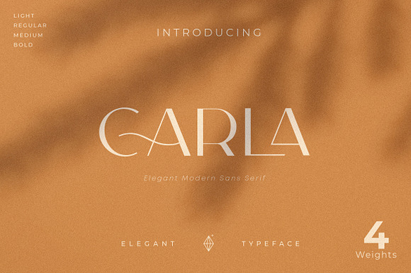 Carla Sans -Elegant Typeface in Sans-Serif Fonts - product preview 20