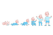 Baby growth process. Life cycle