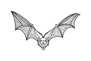 flying bat sketch vector