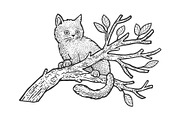 kitten sits on a tree sketch vector