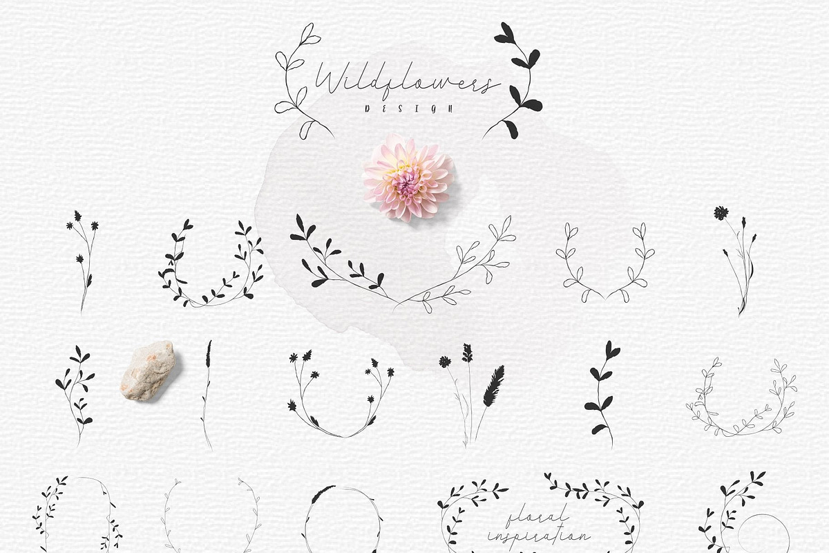 Hand-drawn Botanic elements. in Illustrations - product preview 8