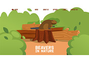 Beaver sit stump, wild animal