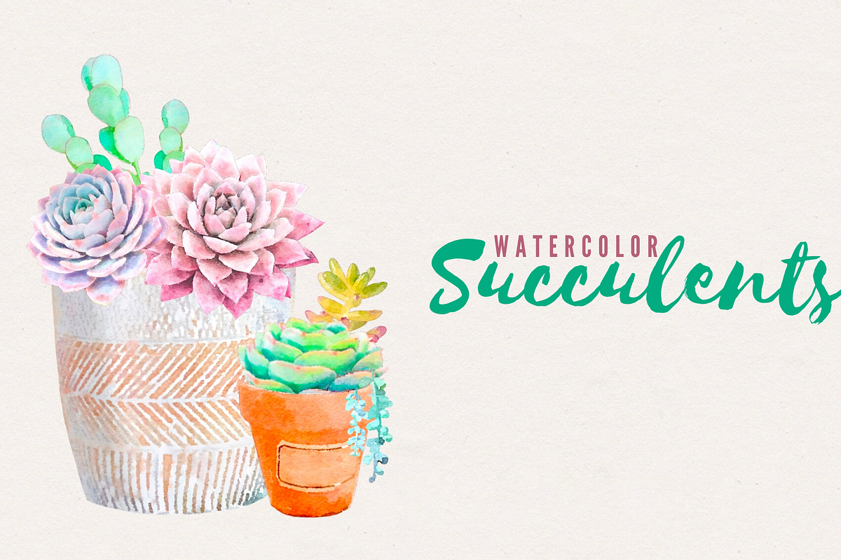 Watercolor Succulents in Illustrations - product preview 8