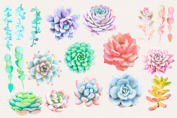 Watercolor Succulents in Illustrations - product preview 1