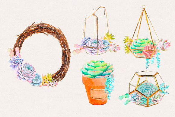 Watercolor Succulents in Illustrations - product preview 3