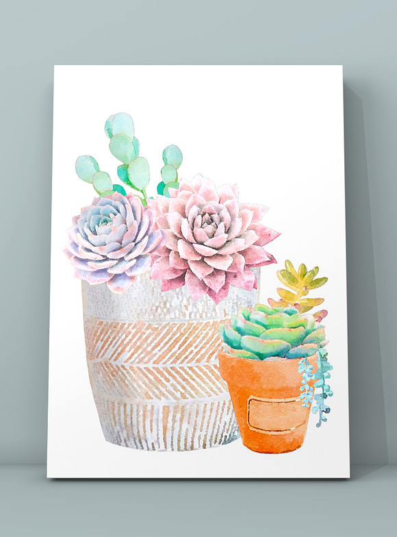 Watercolor Succulents in Illustrations - product preview 4