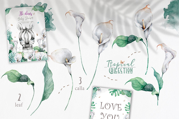Cute Zebras Watercolor Jungle in Illustrations - product preview 7