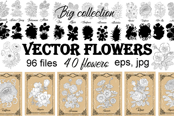 Big set of vector hand drawn flowers