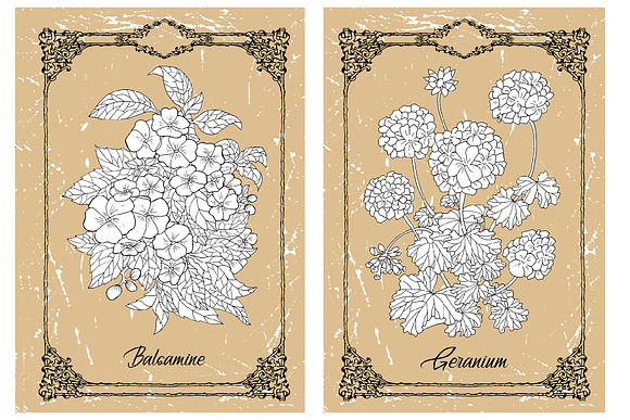 Big set of vector hand drawn flowers in Objects - product preview 3