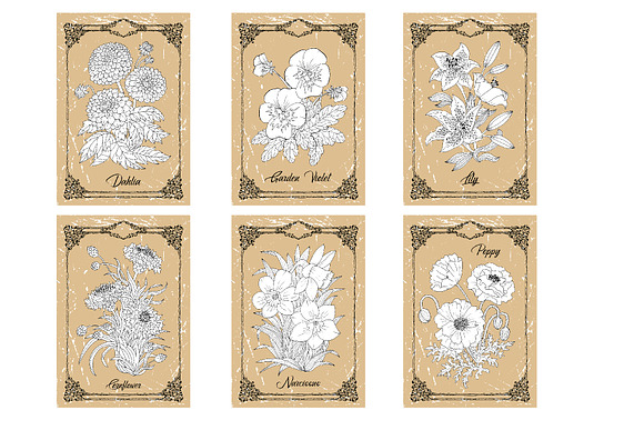 Big set of vector hand drawn flowers in Objects - product preview 4