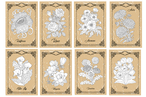 Big set of vector hand drawn flowers in Objects - product preview 7