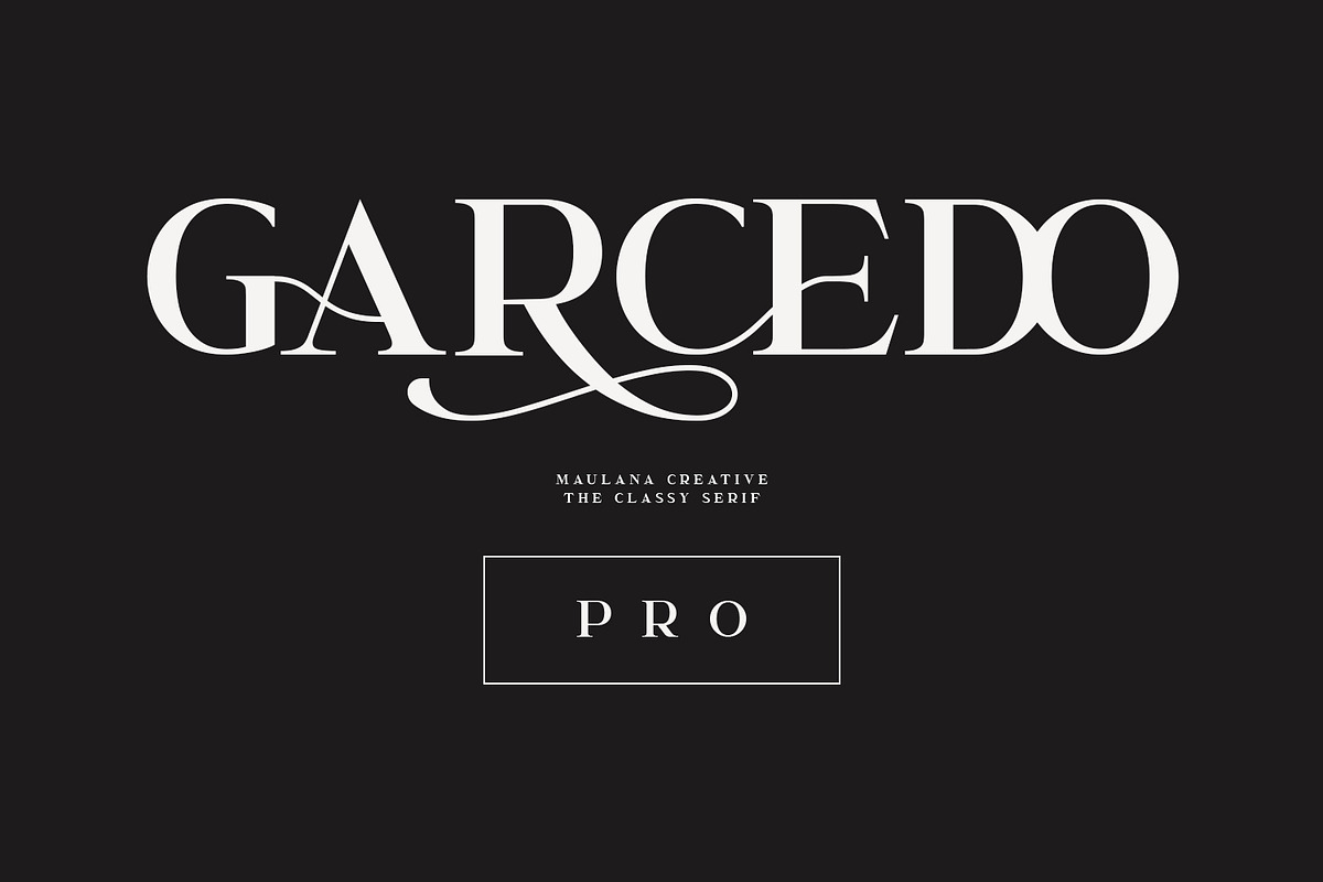 Garcedo Display Serif Font in Display Fonts - product preview 8