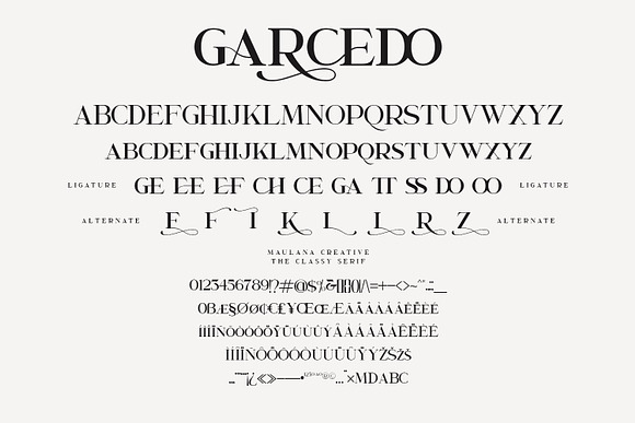 Garcedo Display Serif Font in Display Fonts - product preview 8